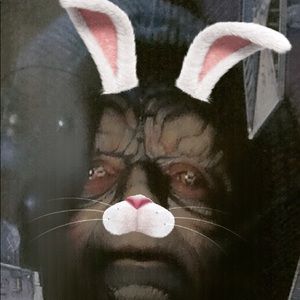 Meet your Posher, Lilly